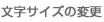 TCY̕ύX